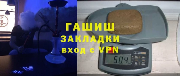 шишки Гусиноозёрск