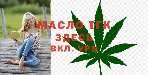 шишки Гусиноозёрск